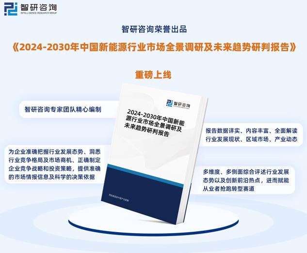 2024新奥资料免费精准资料，重点解答解释落实_VIP56.82.99