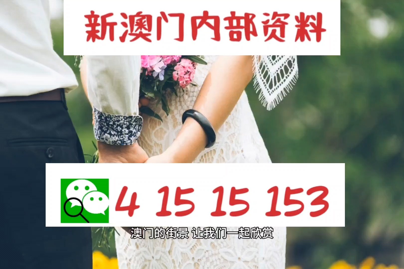 澳门2024正版资料免费公开四不像|精选解释解析落实